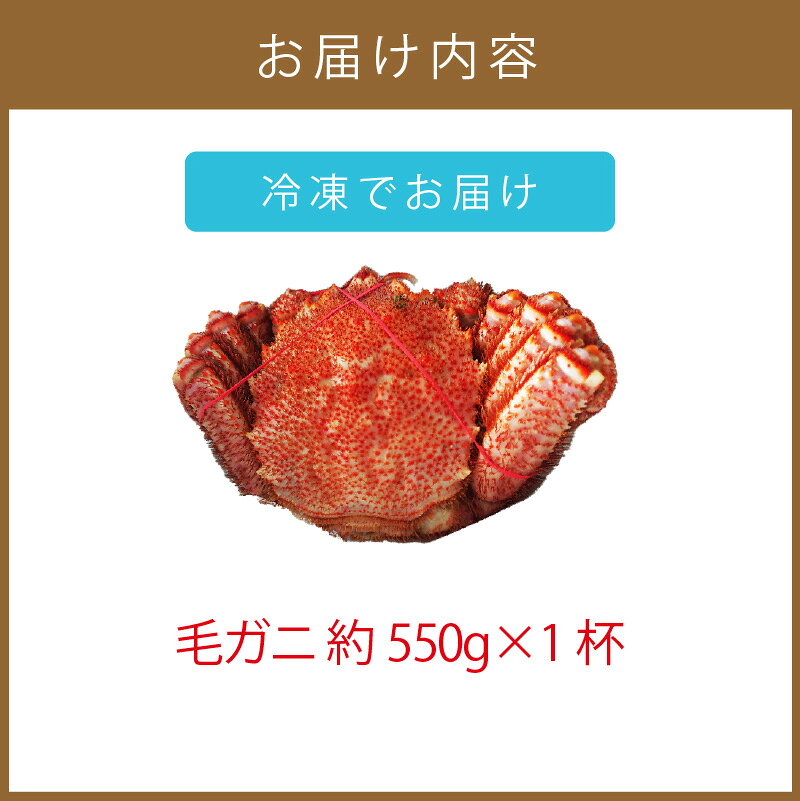 【ふるさと納税】オホーツク海産 浜茹で毛ガニ 約550g×1杯 ( ふるさと納税 海鮮 ふるさと納税 かに ふるさと納税 カニ ふるさと納税 蟹 毛ガニ ボイル 贈答 ギフト ) f012084-kitami-10000686 北海道北見市 サンプル画像3