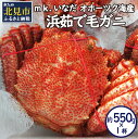 【ふるさと納税】オホーツク海産 浜茹で毛ガニ 約550g×1杯 ( ふるさと納税 海鮮 ふるさと納税 かに ふるさと納税 カニ ふるさと納税 蟹 毛ガニ ボイル...