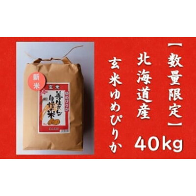 楽天ふるさと納税　【ふるさと納税】令和5年産！『100%自家生産玄米』善生さんの自慢の米 玄米ゆめぴりか40kg※一括発送【06142】