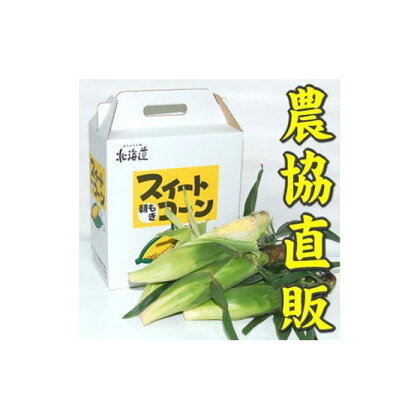 【令和6年度出荷先行予約！】北海道岩見沢市産とうもろこし2Lサイズ24本【11112】