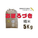 16位! 口コミ数「0件」評価「0」【令和5年産】北海道岩見沢産くすのきファームのおぼろづき精米（5Kg）【34103】