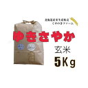 22位! 口コミ数「0件」評価「0」【令和5年産】北海道岩見沢産くすのきファームのゆきさやか玄米（5Kg）【34106】