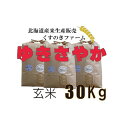 【ふるさと納税】【令和5年産】北海道岩見沢産くすのきファームのゆきさやか玄米（30Kg）【34138】