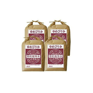 【ふるさと納税】【無洗米】5つ星お米マイスターの契約栽培米 ゆめぴりか 20kg(5kg×4袋)【39018】