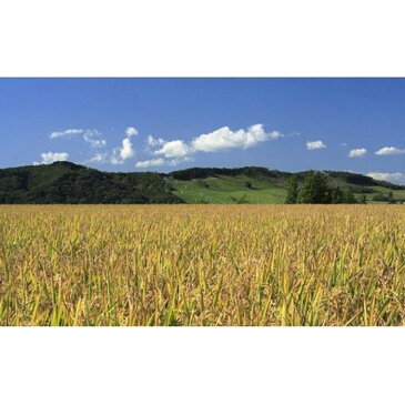 【ふるさと納税】【無洗米】5つ星お米マイスターの契約栽培米 ゆめぴりか 20kg(5kg×4袋)【39018】