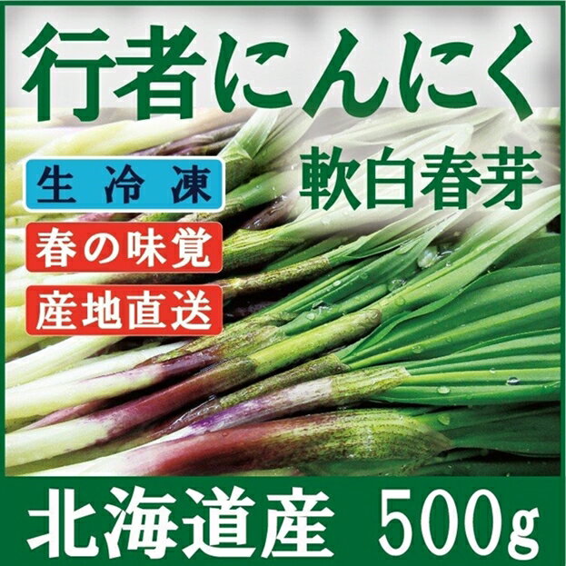 【ふるさと納税】【北海道岩見沢市産】行者にんにく芽(冷凍) 500g【09023】