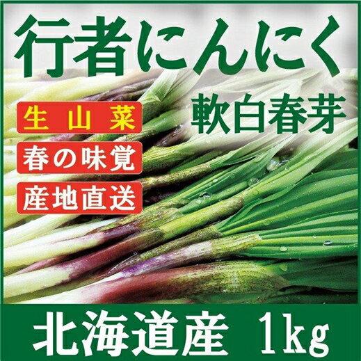 【ふるさと納税】≪先行予約≫ 令和7年産 行者にんにく芽 (生) 1kg ≪数量限定・3/31締め切り≫ 【09121】