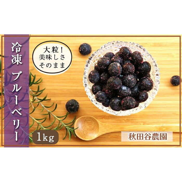 大粒!美味しさそのまま 冷凍 ブルーベリー1Kg[秋田谷農園][20105]