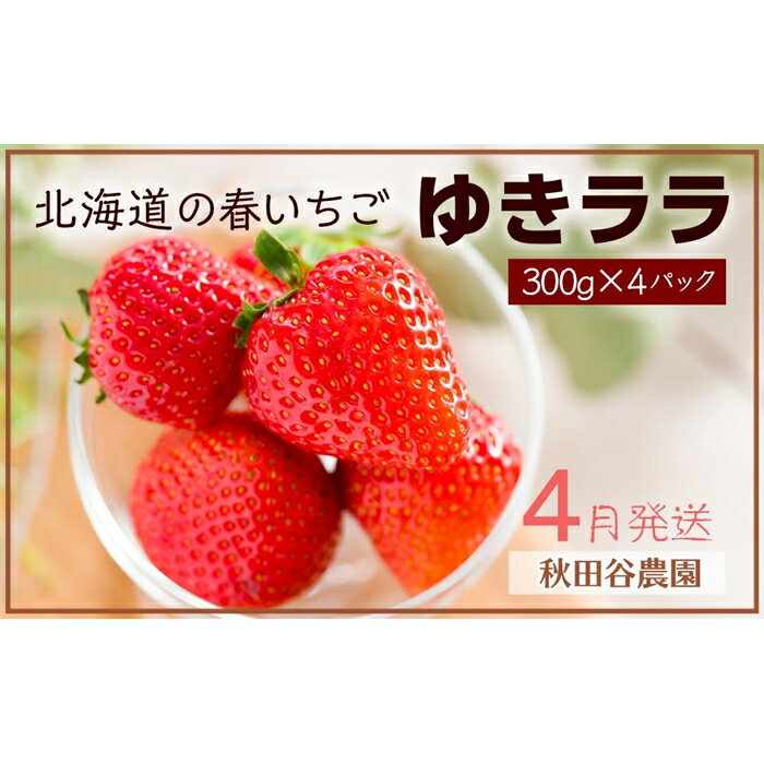 【ふるさと納税】2023年4月発送！北海道の春いちご☆ゆきララ 300g×4パック【秋田谷農園】【20108】のサムネイル