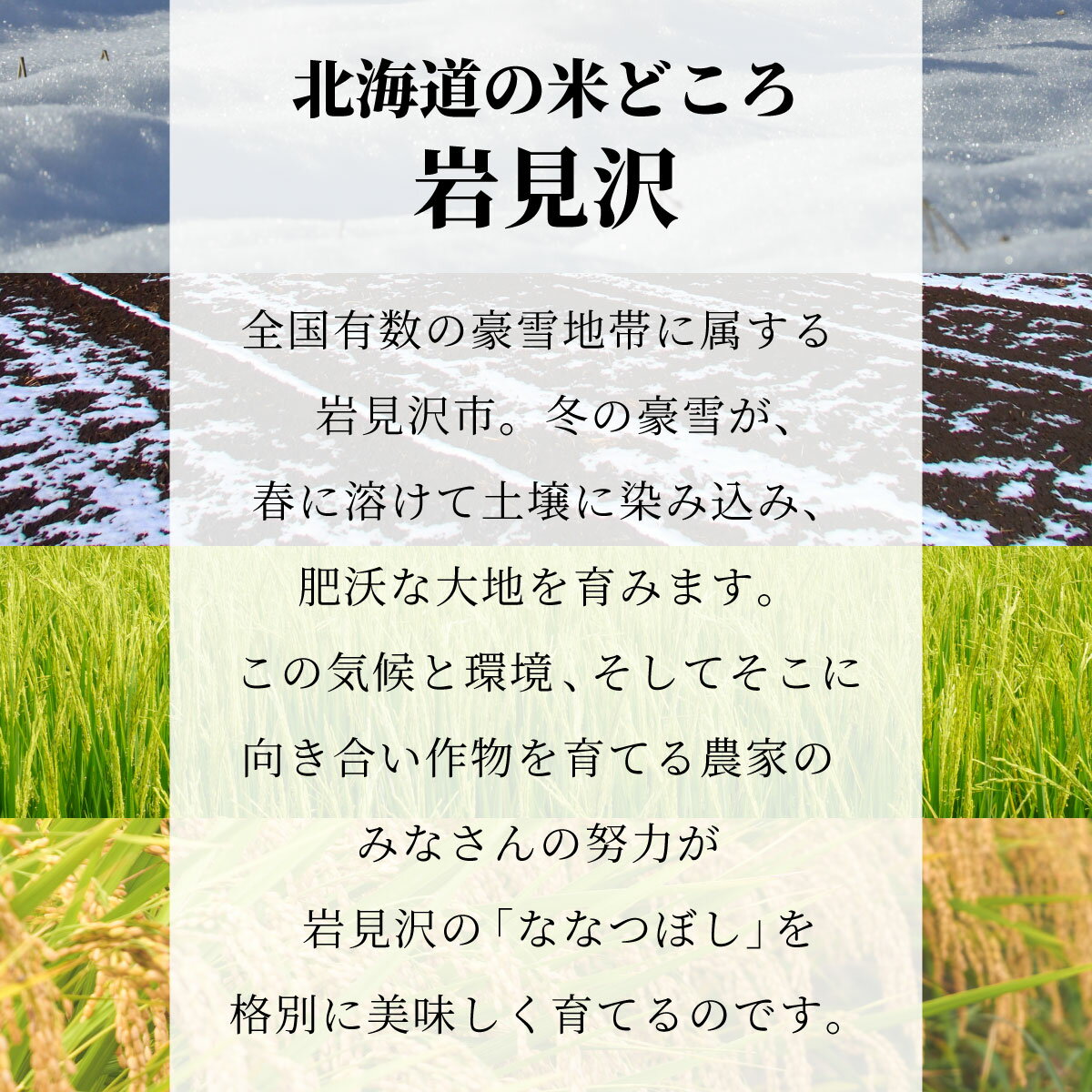 北海道岩見沢市の画像3