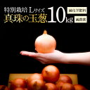 【ふるさと納税】真珠の玉葱 特別栽培Lサイズ10kg≪海のミネラルで育てた特別栽培玉葱≫【50102】