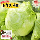 【ふるさと納税】≪先行予約≫市場の目利き 北海道岩見沢産 レタス4玉