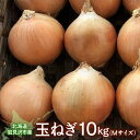 【ふるさと納税】北海道岩見沢市産 玉ねぎMサイズ10kg【09126】
