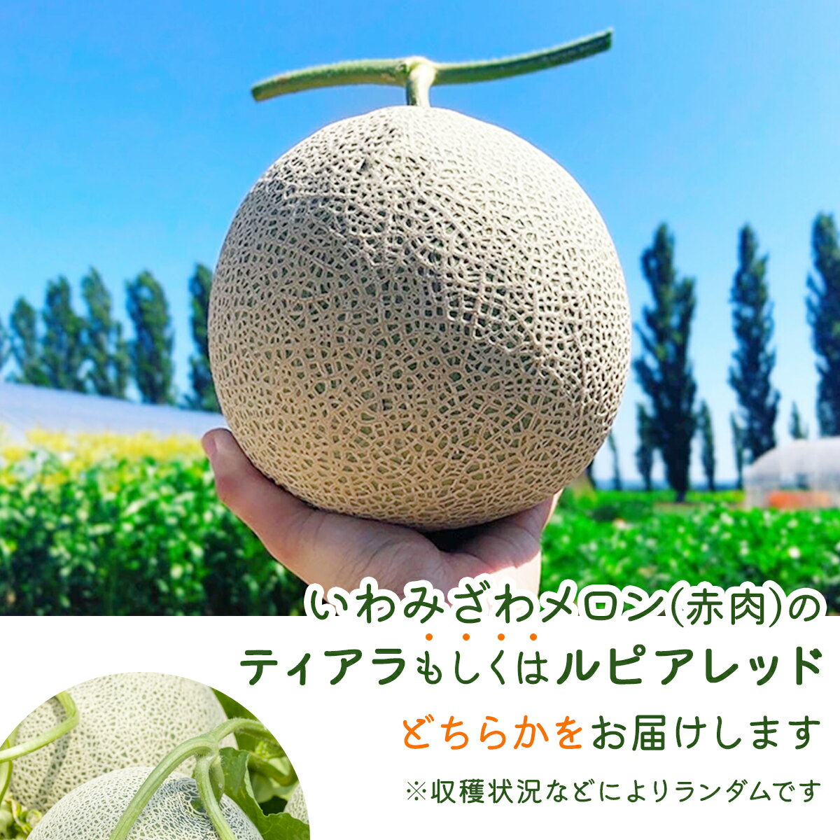 北海道岩見沢市の画像3