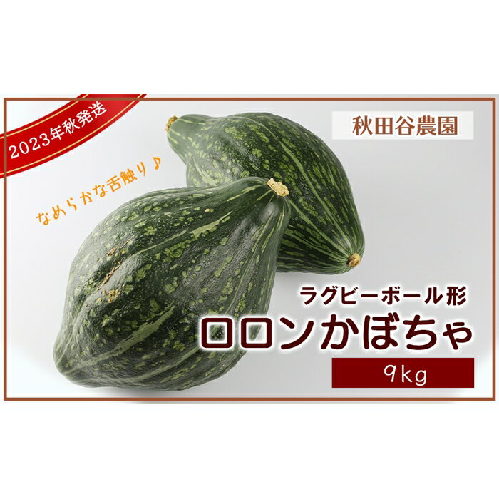 【ふるさと納税】2023年秋発送！ラグビーボール形 ロロンかぼちゃ 9kg《秋田谷農園》【20103】のサムネイル
