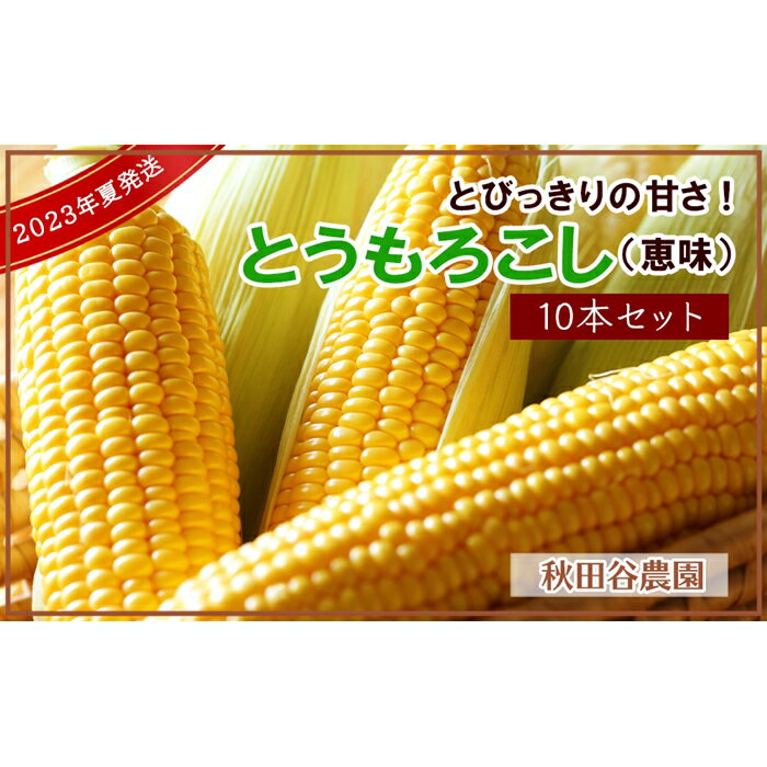 【ふるさと納税】★7月発送★とびっきりの甘さ！とうもろこし（恵味）10本セット【秋田谷農園】【a014-021】