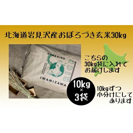 【ふるさと納税】令和5年産北海道岩見沢市産　おぼろづき玄米30kg≪沖縄・離島配送不可≫【35033】