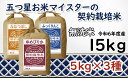 【ふるさと納税】令和6年産【無洗米】食べ比べ15kgセット (ゆめぴりか5kg・ななつぼし5kg・ふっくりんこ5kg) [令和6年産 無洗米 5つ星お米マイスタ...