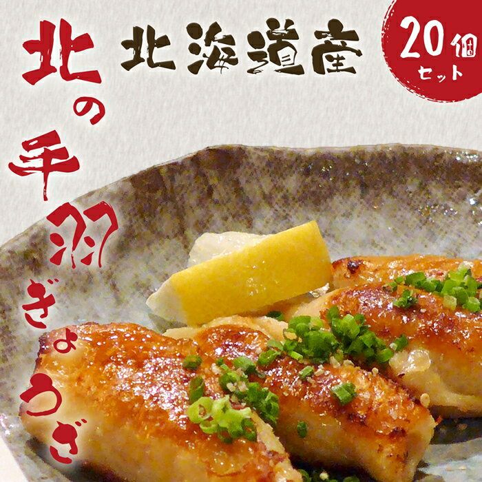 8位! 口コミ数「0件」評価「0」北海道産鶏肉を使った手羽先餃子【北の手羽ぎょうざ】20個セット(5個×4袋)≪配送地域限定≫【53102】