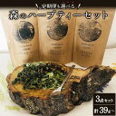 【ふるさと納税】≪単品 or 定期便が選べる≫ 森のハーブティーセット(3点合計39g)【無農薬・化学肥料不使用】【51102】