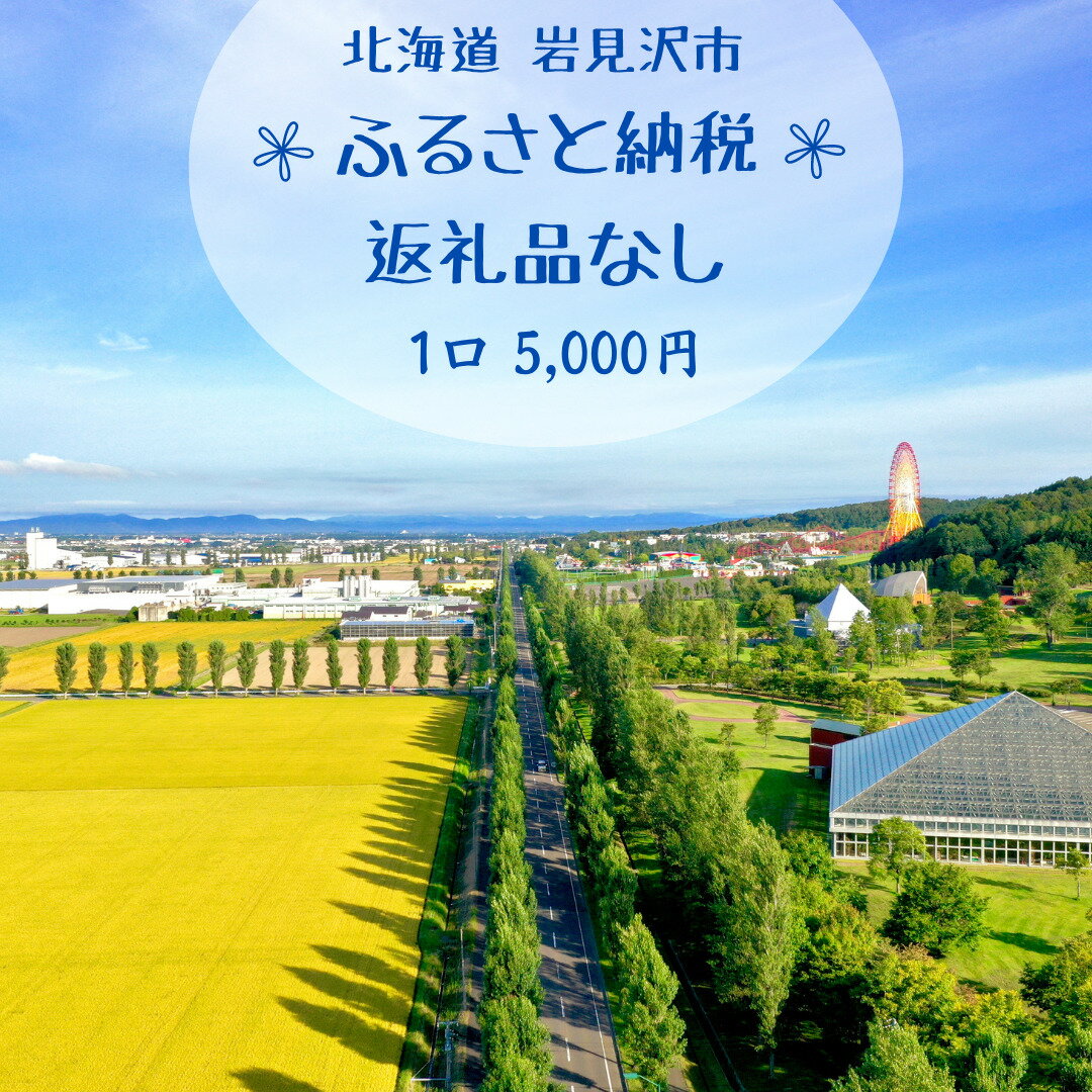 【ふるさと納税】【返礼品なし】岩見沢市 寄附のみ応