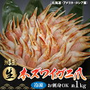 【ふるさと納税】お刺身も出来る！生冷凍ズワイガニ爪 約1kg