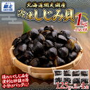 【ふるさと納税】 網走湖産冷凍しじみ貝小分け済み1kg(125g×2)×4袋 【 ふるさと納税 人気 おすすめ ランキング しじみ シジミ しじみ貝 蜆 貝 シジミ汁 1kg 小分け 冷凍 網走湖 北海道産 新鮮 オホーツク 北海道 網走市 送料無料 】 ABB146