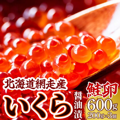 ＜網走産＞いくら醤油漬(鮭卵)600g（200g×3）【 いくら イクラ いくら醤油漬け イクラ醤油漬け 醤油漬け 醤油漬 いくら醤油漬 イクラ醤油漬 鮭いくら 鮭 さけ 鮭卵 北海道 北海道産 冷凍 人気 ランキング おすすめ オホーツク 網走市 送料無料 】 ABW014