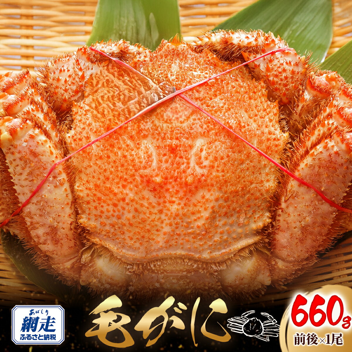 【ふるさと納税】網走産 毛がに660g前後×1尾【 ふるさと納税 人気 おすすめ ランキング かに カニ 蟹 毛ガニ 毛がに 毛蟹 網走産 冷凍 蟹みそ カニみそ 蟹味噌 オホーツク 北海道産 北海道 網走市 送料無料 】 ABW106