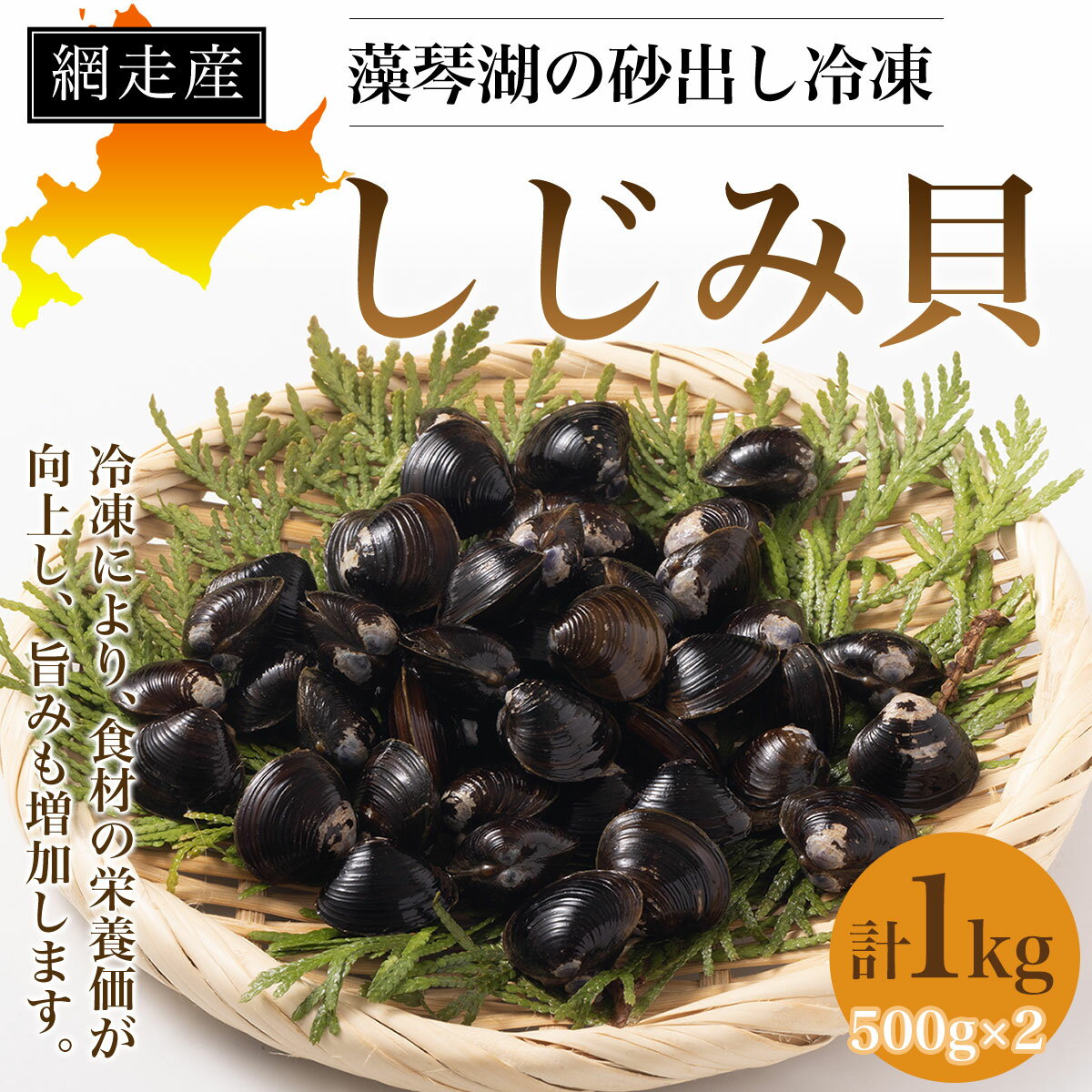 網走産 藻琴湖の砂出し冷凍しじみ貝(500g×2 計1kg) [ ふるさと納税 人気 おすすめ ランキング しじみ シジミ 蜆 網走湖 大粒 冷凍 うまみ 北海道 網走市 送料無料 ]