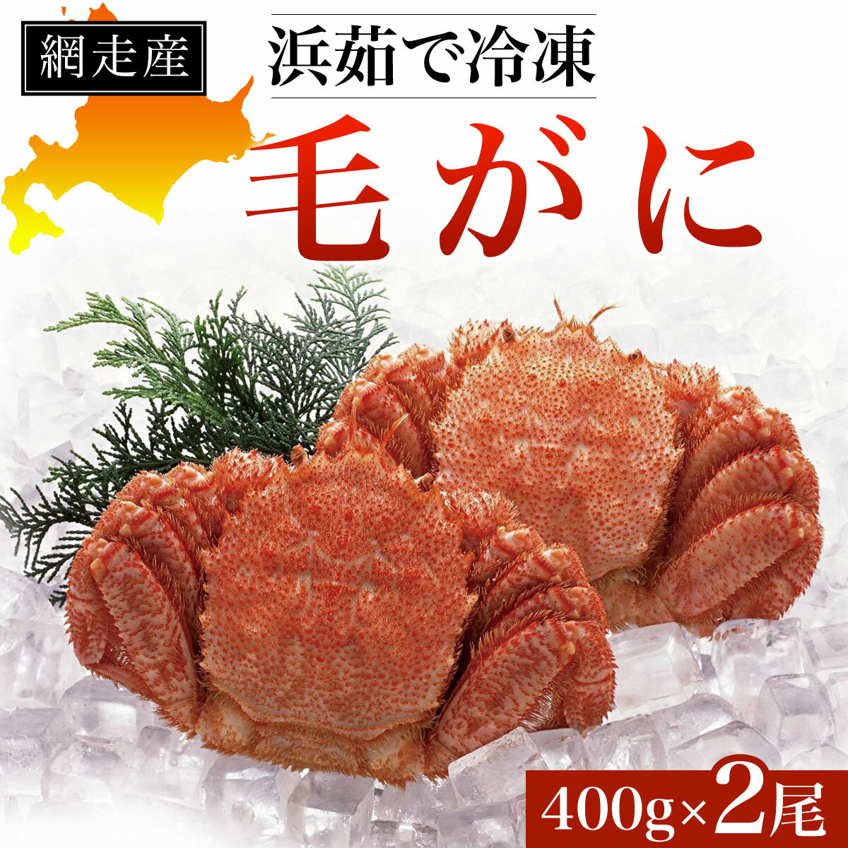 【ふるさと納税】網走産 浜茹で冷凍毛がに400g×2尾 【 ふるさと納税 人気 おすすめ ランキング 毛蟹 ...