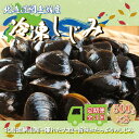 【ふるさと納税】【定期便】全3回(毎月)<網走湖産>冷凍しじみ 500g×3 【 ふるさと納税 人気 おすすめ ランキング しじみ シジミ しじみ貝 蜆 貝 シ...