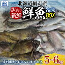 【ふるさと納税】【訳あり】網走産冷凍鮮魚BOX~未利用魚の有効活用(漁業生産者応援企画)~ 【 ふるさと納税 人気 おすすめ ランキング たこ やなぎたこ 真た...