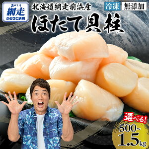 【ふるさと納税】【新物先行予約】網走前浜産 無添加ホタテ貝柱 選べる 500g ~ 1.5kg(令和7年12月より順次発送)【 ホタテ ほたて 帆立 貝柱 ホタテ貝柱 ほたて貝柱 帆立貝柱 刺身 刺身帆立 ほたて刺身 訳あり 小分け 天然 オホーツク 北海道 網走市 送料無料 】 ABAI001