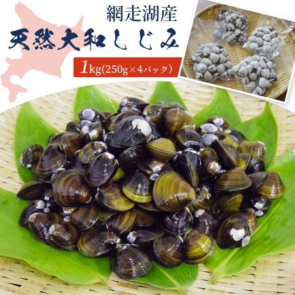 ＜網走湖産＞天然大和しじみ 1kg (250g×4パック)【 ふるさと納税 人気 おすすめ ランキング しじみ シジミ 蜆 しじみ貝 シジミ貝 貝シジミ汁 しじみ汁 貝 砂抜き 砂出し 冷凍 網走湖 網走湖産 オホーツク 北海道 網走市 送料無料 】 ABAI019