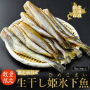 【ふるさと納税】【数量限定】＜網走前浜産＞生干し姫氷下魚（ひめこまい）【1kg（500g×2）】【 ふるさと納税 人気 おすすめ ランキング こまい ひめこまい 氷下魚 姫氷下魚 生干し 冷凍 魚 魚介 新鮮 焼き魚 焼魚 定食 オホーツク 北海道 網走市 送料無料 】 ABAI030