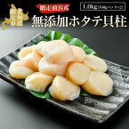 【ふるさと納税】＜網走前浜産＞無添加ホタテ貝柱【1kg (500gパック×2) 】 【 ホタテ ほたて 帆立 貝柱 ホタテ貝柱 ほたて貝柱 帆立貝柱 大粒 刺身 刺身ホタテ 刺身帆立 緊急支援 支援 生産者支援 魚介 海鮮 小分け 天然 訳あり 北海道 網走市 送料無料 】 ABAI011