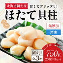 【ふるさと納税】【新物先行予約 全3回(隔月)】網走前浜産 無添加ホタテ貝柱750g(250g×3袋)(2025年8月より順次発送)【 ホタテ ほたて 帆立 貝柱 ホタテ貝柱 ほたて貝柱 帆立貝柱 刺身 緊急支援 小分け 天然 750g 250g 3パック 北海道 網走市 送料無料 】 ABAI034