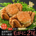 【ふるさと納税】【数量限定】<網走前浜産>【流氷明けの堅ガニ厳選!】活〆浜茹で毛がに 2尾(計900g以上)【 蟹 かに カニ かに大将 毛ガニ北海道 毛ガニ ...