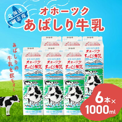 ＜網走産＞オホーツクあばしり牛乳【1000ml×6本】 【 ふるさと納税 人気 おすすめ ランキング 乳飲料 牛乳 ミルク 乳製品 オホーツク あばしり牛乳 健康 栄養豊富 紙パック 冷蔵 北海道 網走市 送料無料 】 ABAJ001