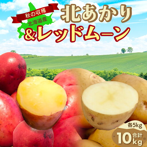 【ふるさと納税】【先行予約】秋の収穫北あかり、レッドムーン合計10kg(2025年9月15日以降発送)【 ふるさと納税 人気 おすすめ ランキング じゃがいも ジャガイモ 芋 いも イモ 北あかり レッドムーン 野菜 セット 詰め合わせ 詰合せ 北海道 網走市 送料無料 】ABAO085 【ふるさと納税】【先行予約】秋の収穫北あかり、レッドムーン合計10kg(2025年9月15日以降発送)【 ふるさと納税 人気 おすすめ ランキング じゃがいも ジャガイモ 芋 いも イモ 北あかり レッドムーン 野菜 セット 詰め合わせ 詰合せ 北海道 網走市 送料無料 】ABAO085