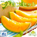 【ふるさと納税】 【期間・数量限定】甘くて美味しい 網走産朱肉メロン1玉<早期予約><網走産>(2025年6月15日以降発送) 【 ふるさと納税 人気 おすすめ...