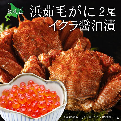 【ふるさと納税】厳選 浜茹毛がに2尾イクラ醤油漬(網走産) 【 ふるさと納税 人気 おすすめ ランキング 毛がに いくら醤油漬 鮭いくら セット おいしい 北海道 網走市 送料無料 】 ABC001 【ふるさと納税】厳選 浜茹毛がに2尾イクラ醤油漬(網走産) 【 ふるさと納税 人気 おすすめ ランキング 毛がに いくら醤油漬 鮭いくら セット おいしい 北海道 網走市 送料無料 】 ABC001