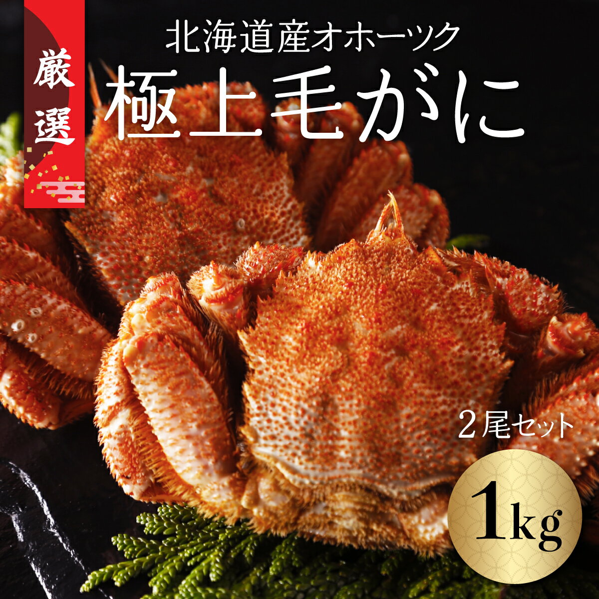 北海道産オホーツク極上毛がに(冷凍) 2尾セット(合計約1kg) [ ふるさと納税 人気 おすすめ ランキング 毛がに 毛ガニ カニ かに 極上 かに味噌 おいしい 北海道 網走市 送料無料 ]