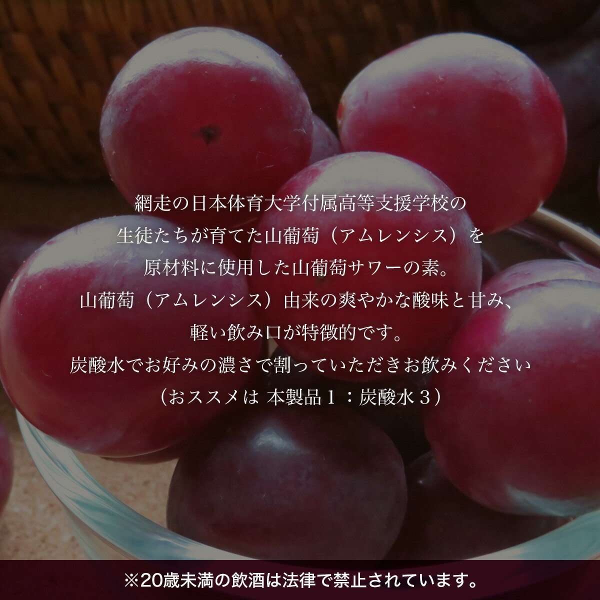 【ふるさと納税】オホーツク網走山葡萄サワーの素...の紹介画像2