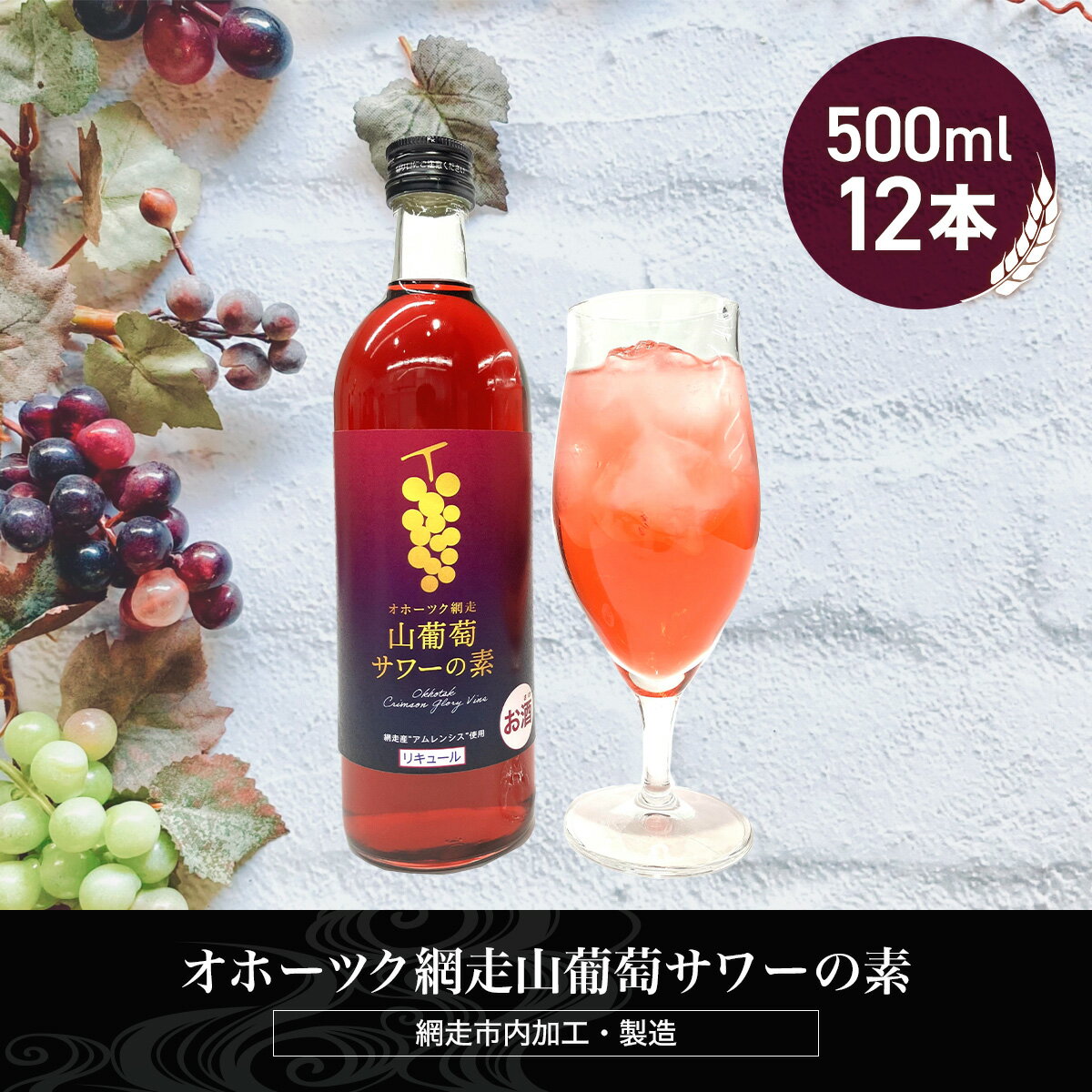 オホーツク網走山葡萄サワーの素 500ml×12本入り(網走市加工・製造)[ ふるさと納税 人気 おすすめ ランキング ぶどうサワー 葡萄サワー ブドウサワー 素 お酒 流氷 オホーツク 宅飲み ご当地 お中元 お歳暮 ギフト 北海道 網走市 送料無料 ]