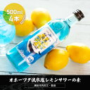 オホーツク流氷塩レモンサワーの素 500ml×4本入り（網走市内加工・製造） ABH011