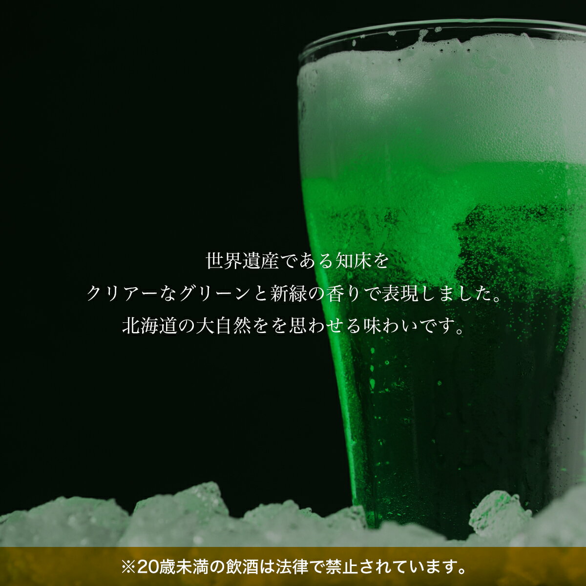 【ふるさと納税】地ビール クラフトビール 知床ドラフト8本セット(発泡酒) 【 ふるさと納税 人気 おすすめ ランキング 網走ビール 知床ドラフト 地ビール クラフトビール 北海道 網走市 送料無料 】 ABH062