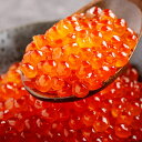 【ふるさと納税】【先行予約】北海道オホーツク海産 いくら醤油漬け(500g × 1P)(2025年10月1日より順次発送) 【 ふるさと納税 人気 いくら イクラ イクラ醤油 いくら醤油 醤油漬け 醤油漬 オホーツク海産 500g 冷凍 いくら丼 北海道 網走市 送料無料 】 ABN001