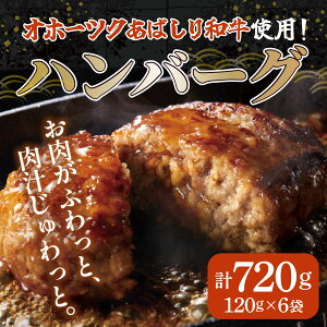 【ふるさと納税】＜網走産＞【オホーツクあばしり和牛】ハンバーグ・総重量 720g(120g×6個） 【 ふるさと納税 人気 おすすめ ランキング 牛ハンバーグ オホーツクあばしり和牛 和牛100% 北海道 網走市 送料無料 】 ABW001